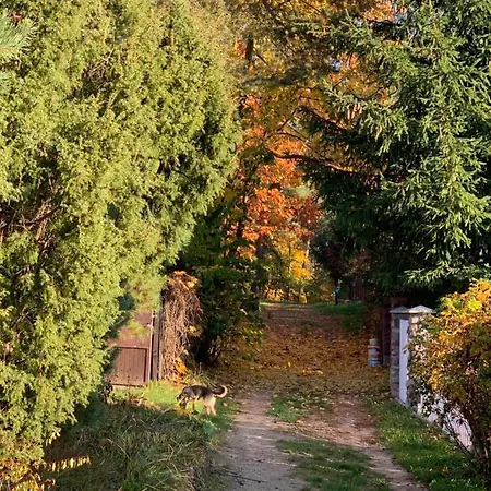 Revergrand Mazury *
